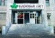 Павлодарская торговая компания «Кленовый лист» выходит на новый уровень автоматизации с «1С:Управление торговлей 8 для Казахстана»